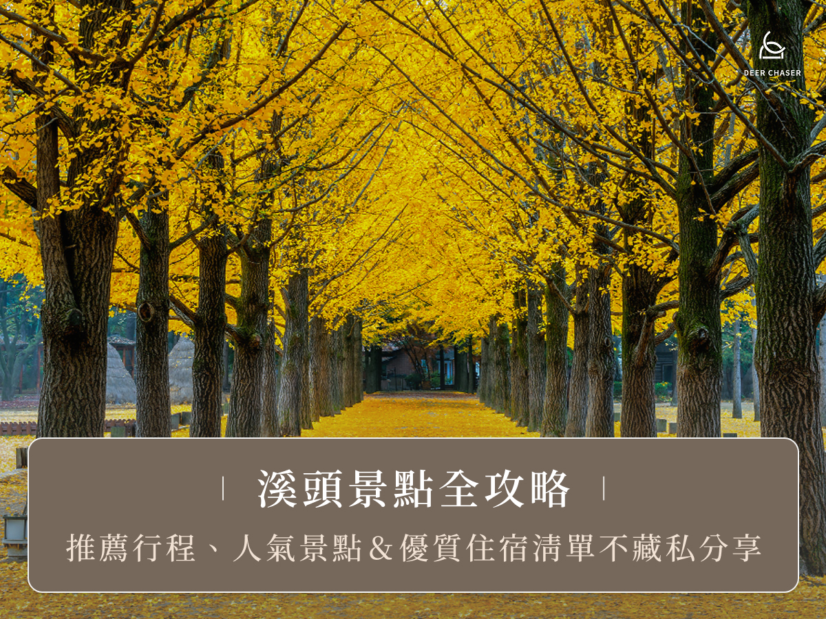 溪頭景點全攻略：推薦行程、人氣景點＆優質住宿清單不藏私分享