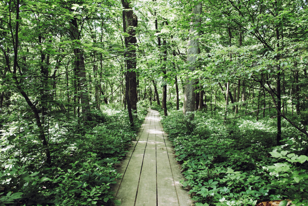 溪頭景點示意圖