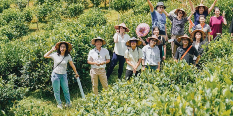 螢幕擷取畫面 2025-11-10 171213