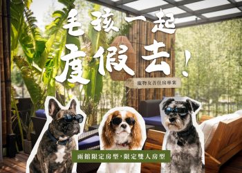毛孩一起度假去 寵物友善住房專案